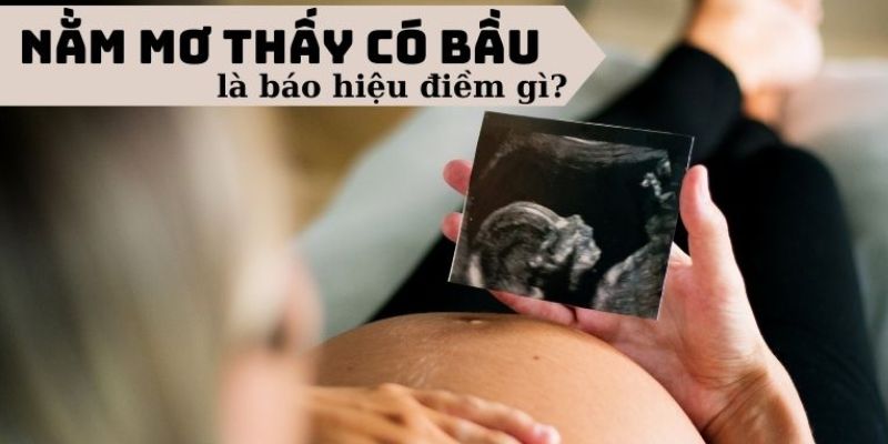 Một số câu chuyện thực tế về giấc mơ thấy có bầu